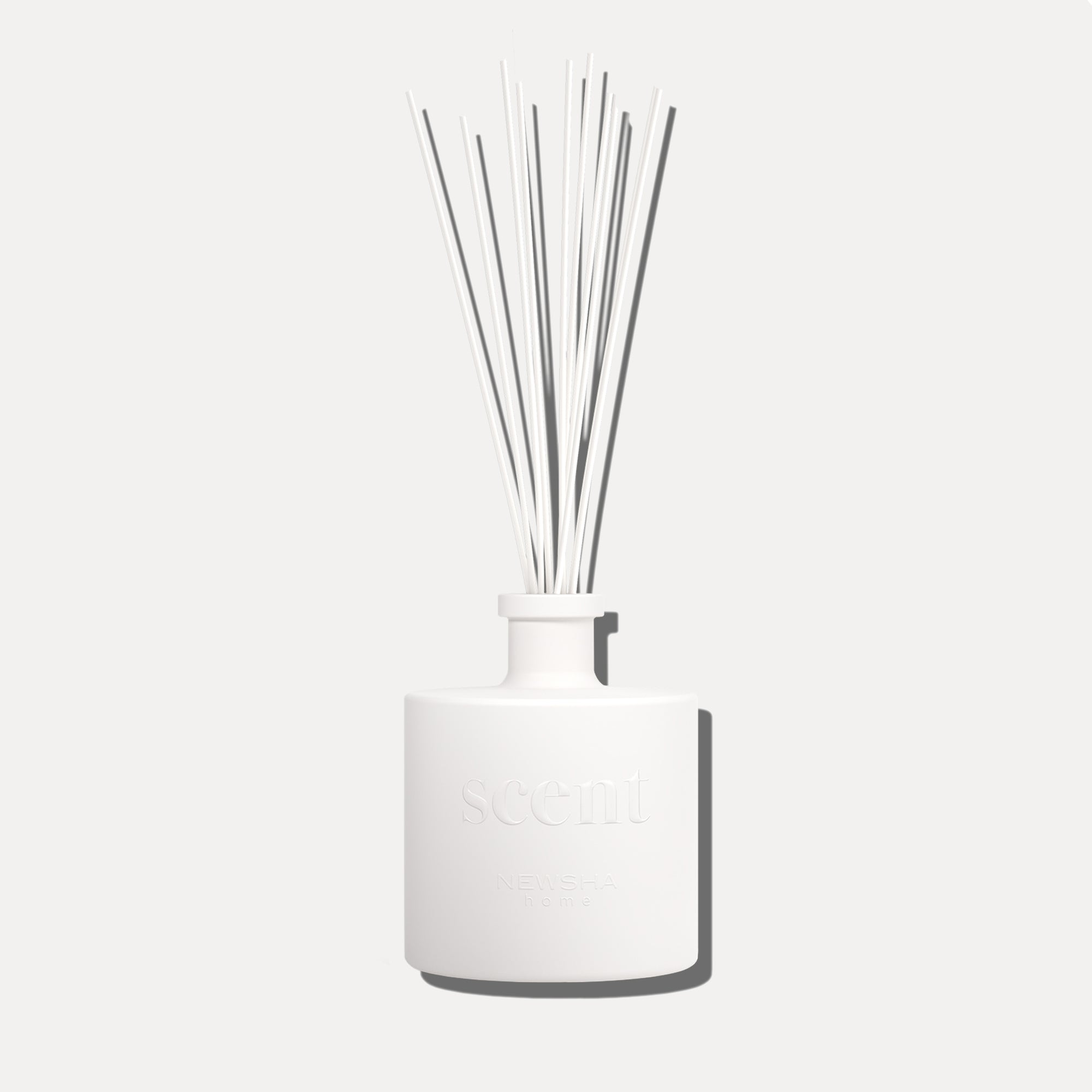 Scent inspired by Daily Routine Shampoo